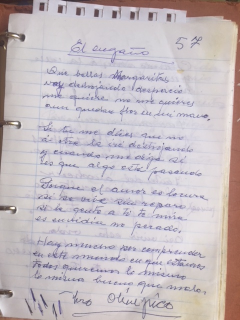 Unos meses antes de morir, la autora de estos sencillos versos que había escrito sin que sus palabras nunca encontran la luz, cedió todo su patrimonio a una descendiente que decidió convertirse en editora . Así nació "Las libretas de Amparo"