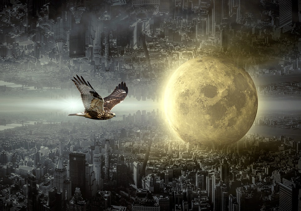 Afilando las Alas